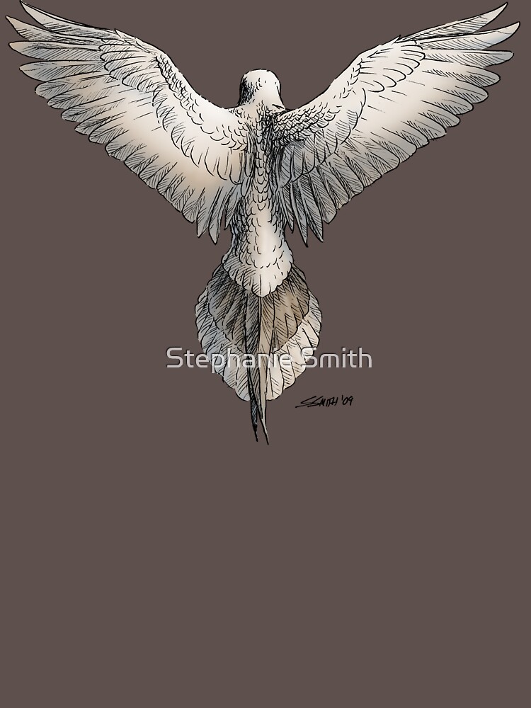 Mourning Dove by stephsmith
