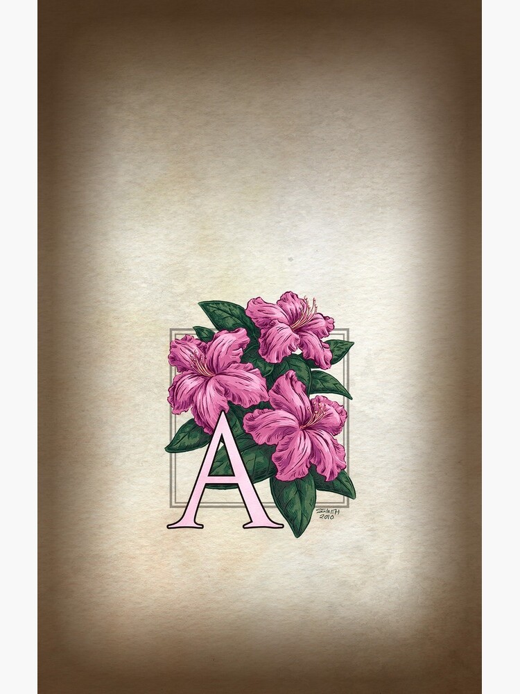 A is for Azalea Flower Monogram by stephsmith