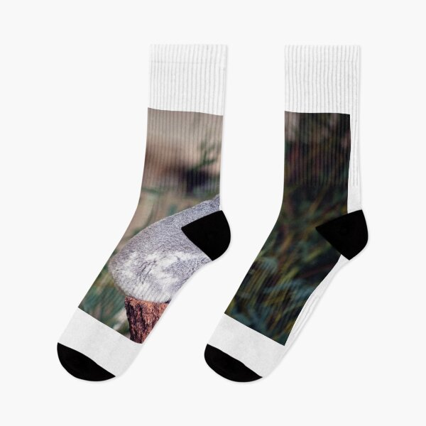 Item preview, How much can this Koala bare? designed and sold by evolutionx.