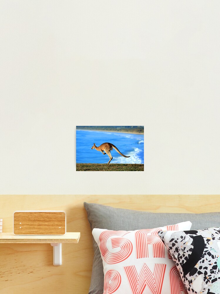 Thumbnail 2 of 3, Photographic Print, New Roo designed and sold by evolutionx.
