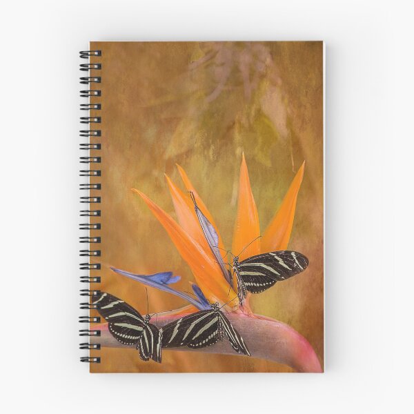 Item preview, Three Zebra Butterflies designed and sold by Elisabeth Lucas.