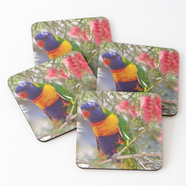 Item preview, Tropical colour  designed and sold by MargsNaturePix.