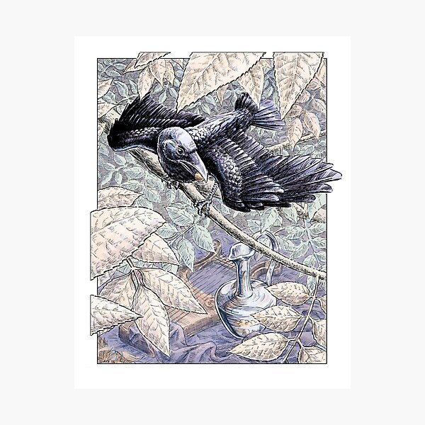 The Crow and the Pitcher Photographic Print
