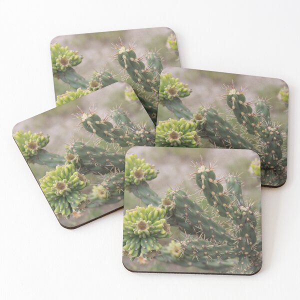 Item preview, Cholla Cactus with Fruit designed and sold by Robert Armendariz.