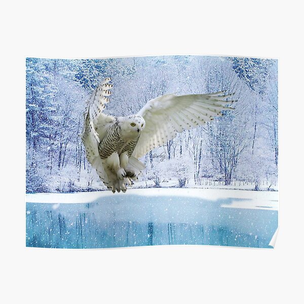 Observe and reflect, and become a little wiser everyday ! Poster