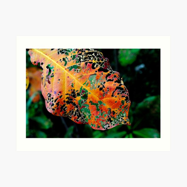 Mother Nature doodles #1 Art Print