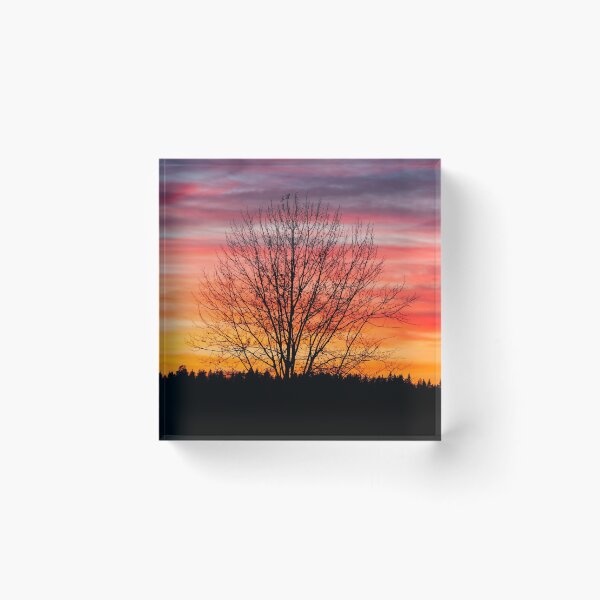 Item preview, Tree silhouette and beautiful vibrant sunset clouds designed and sold by Juhku.