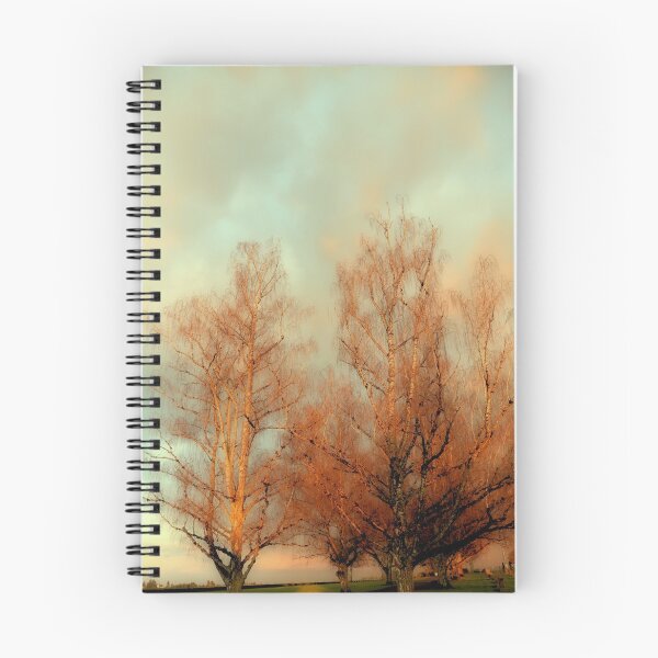Aperçu de l'œuvre ARBRES AU COUCHER DE SOLEIL - OREGON créée et vendue par Teresa Chipperfield.