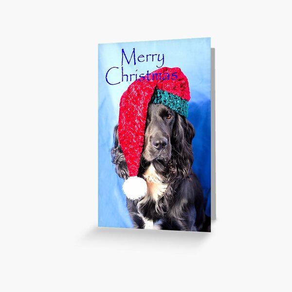 Merry Christmas Dog Greeting Card