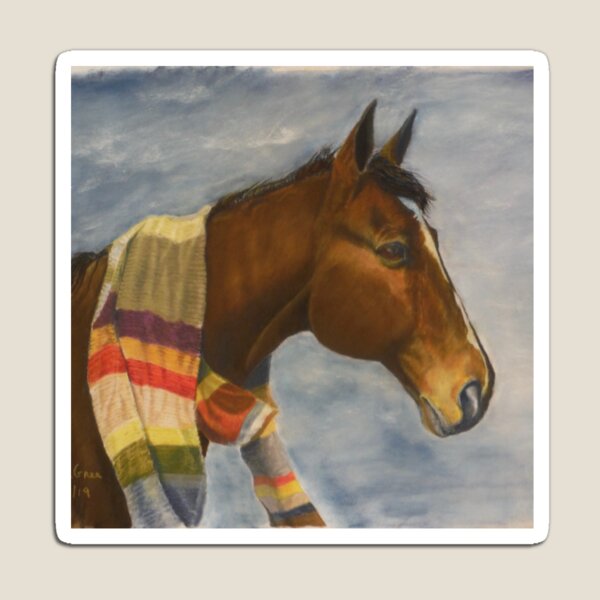 Dr Whooves Magnet