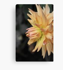 bloom Canvas Print