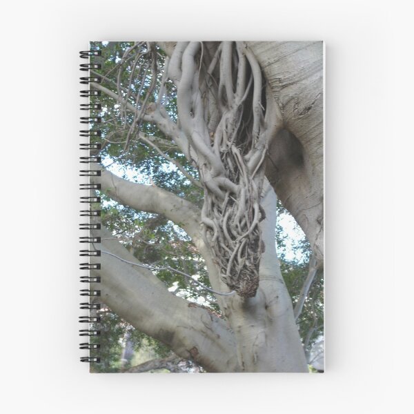 Item preview, Tree in a Twist designed and sold by KazM.