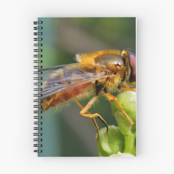Item preview, Hoverfly  designed and sold by AnnDixon.
