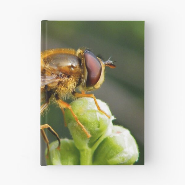 Item preview, Hoverfly  designed and sold by AnnDixon.