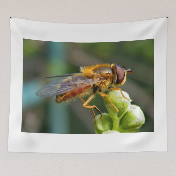 Item preview, Hoverfly  designed and sold by AnnDixon.