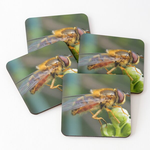 Item preview, Hoverfly  designed and sold by AnnDixon.