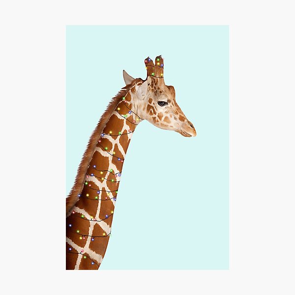Christmas Giraffe Fotodruck