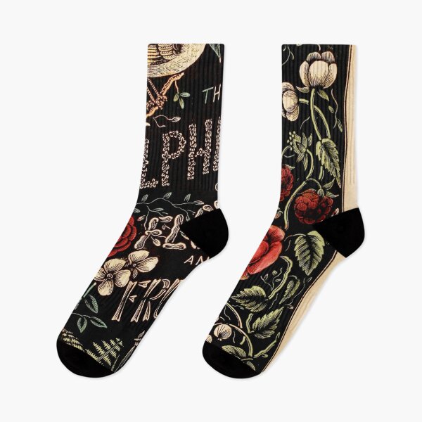 Item preview, The alphabet of flowers and fruit - cover designed and sold by DejaVuStudio.