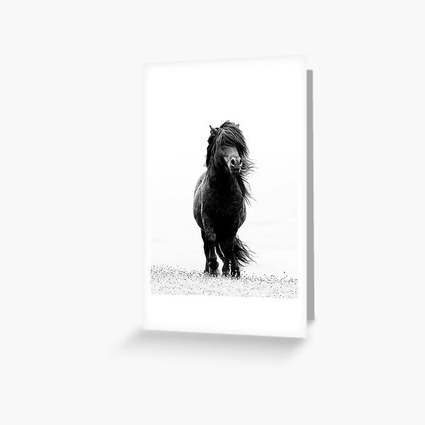 Item preview, Shetland stallion B/W designed and sold by Frances144.