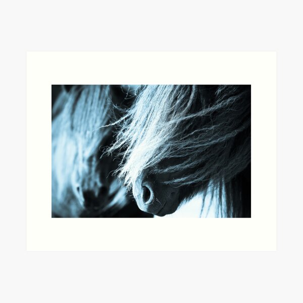 Shetland pony mares Art Print