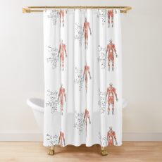 Study your Gluteus Maximus Off Shower Curtain