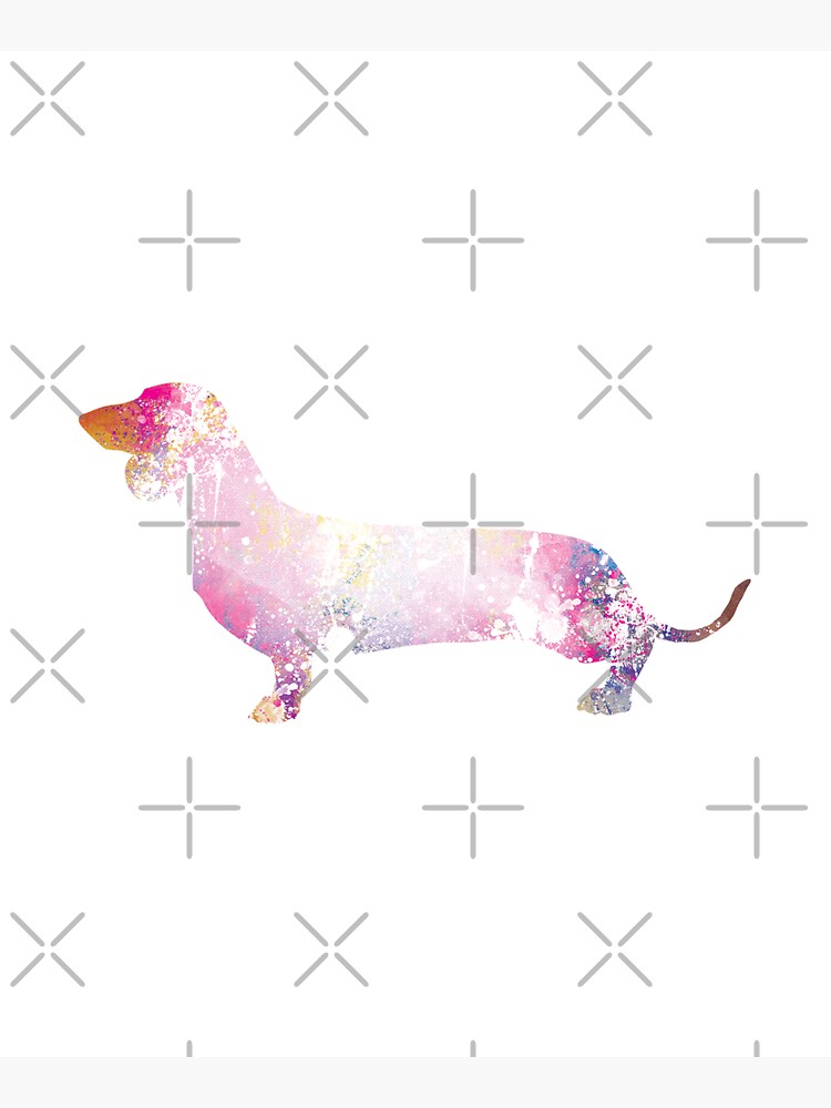 Paint Splash Dachshund by tribbledesign