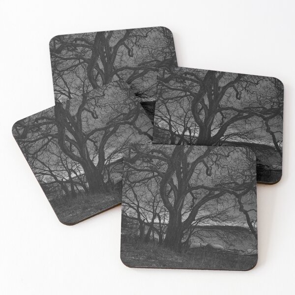 Item preview, The old tree by the lake with the first snow and a cloudy night. BW designed and sold by Jouko Lehto Photography.