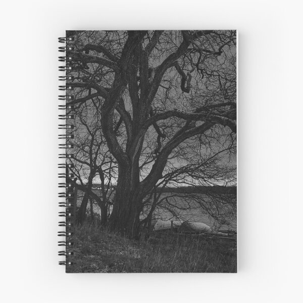 Item preview, The old tree by the lake with the first snow and a cloudy night. BW designed and sold by Jouko Lehto Photography.