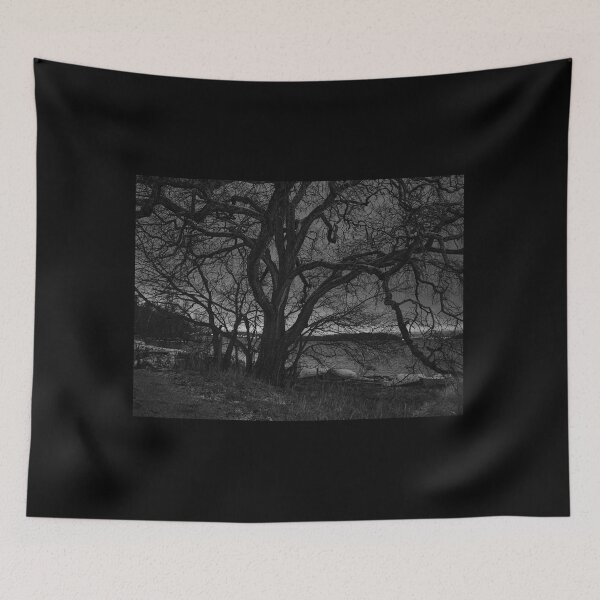 Item preview, The old tree by the lake with the first snow and a cloudy night. BW designed and sold by Jouko Lehto Photography.