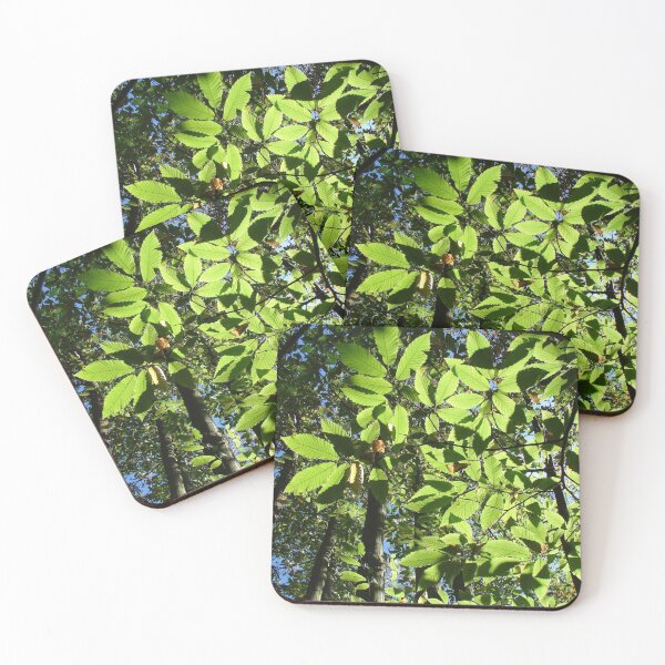 Item preview, Sweet Chestnut Leaves designed and sold by Chris Petty.