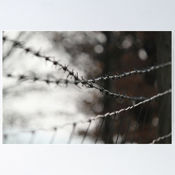 Artikelvorschau, barb wire & stock fence entworfen und verkauft von yampy.