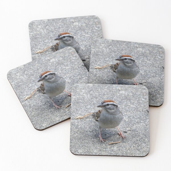 Item preview, Sparrow designed and sold by Kimmary.