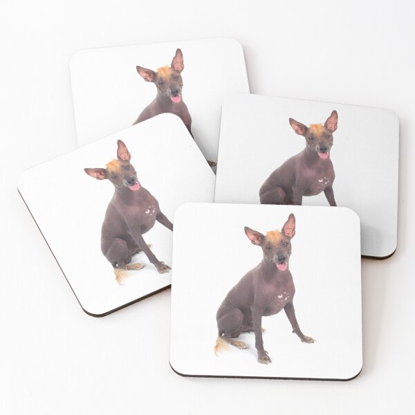 Item preview, Xoloitzcuintle  designed and sold by Xolo-Rescue.