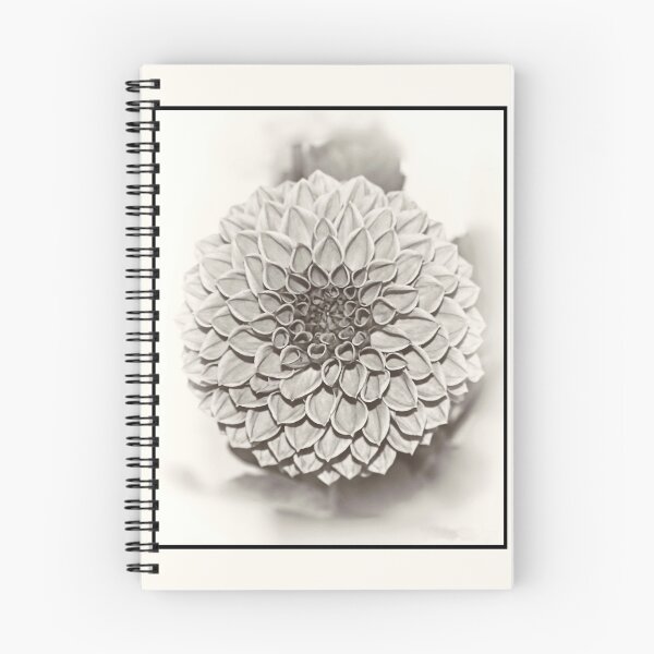 Item preview, Black white Dahlia square format designed and sold by Philip Butler.
