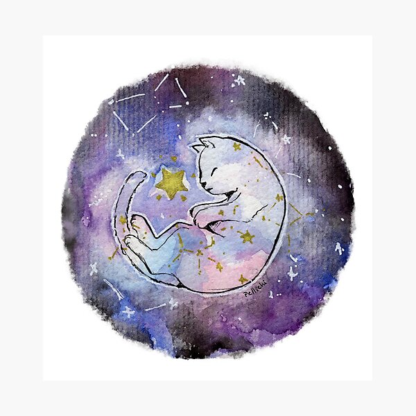 Catstellation Photographic Print