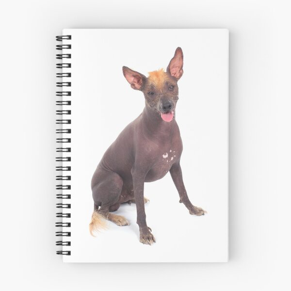 Item preview, Xoloitzcuintle  designed and sold by Xolo-Rescue.