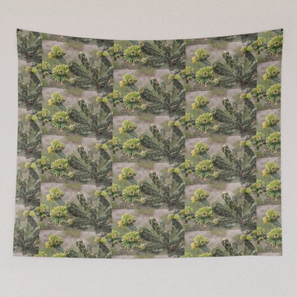 Item preview, Cholla Cactus with Fruit designed and sold by Robert Armendariz.
