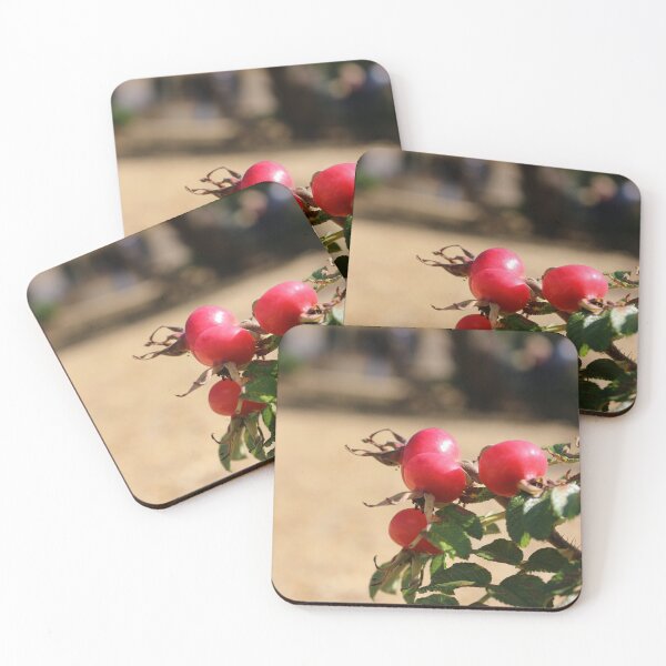 Item preview, Rosehips designed and sold by pinkal.