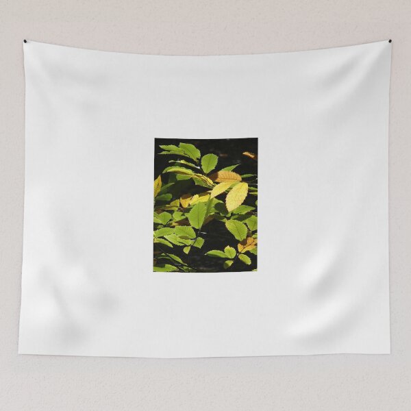 Item preview, Sweet Chestnut designed and sold by Chris Petty.