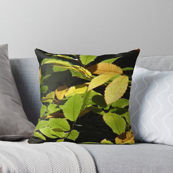 Item preview, Sweet Chestnut designed and sold by Chris Petty.