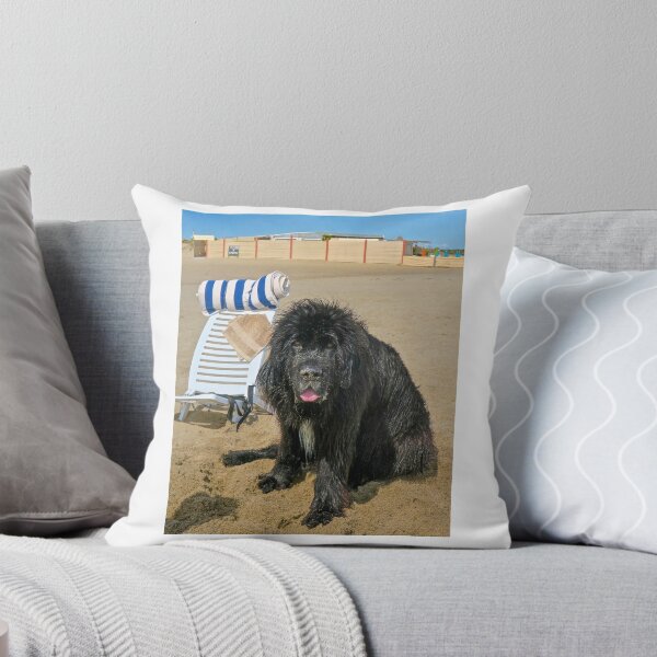 Item preview, Old Sea Dog designed and sold by John Thurgood.