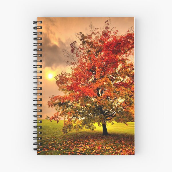 Item preview, Red Maple tree  designed and sold by LudaNayvelt.