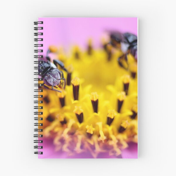 Item preview, Native bee on a pink flower designed and sold by cathywillett.