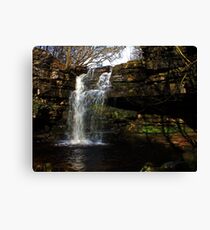 Summerhill Force Canvas Print