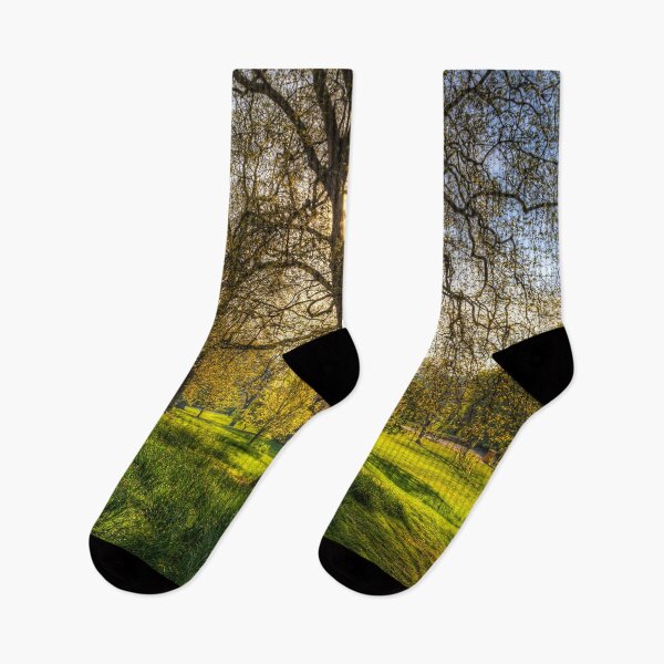Item preview, St James Park London designed and sold by Londonimages.