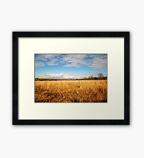colours Framed Print