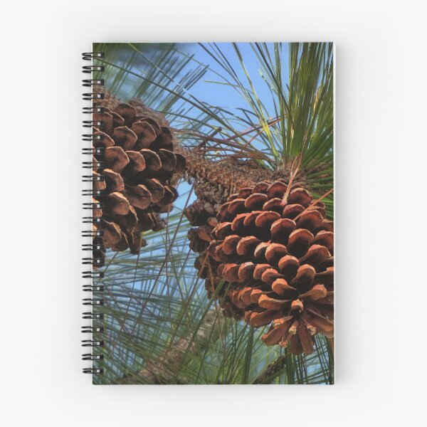 Item preview, Pinecones designed and sold by LudaNayvelt.