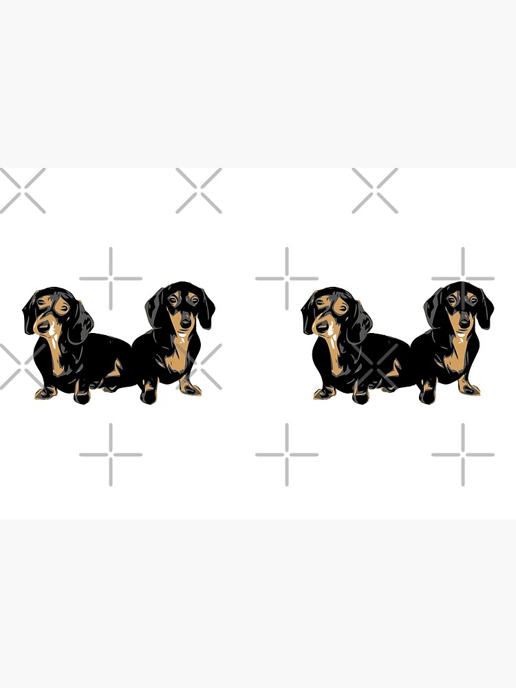 Two Dachshund Puppies Colour Vector by tribbledesign