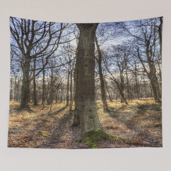 Item preview, Peace In the Morning Forest designed and sold by Londonimages.