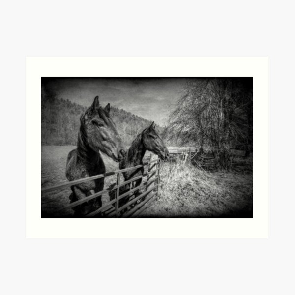 Buddies Art Print